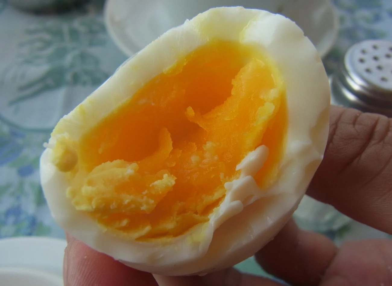 Jajo kaczki od jaja kurzego różni się wielkością i smakiem Jajo kaczki od jaja kurzego różni się wielkością i smakiem