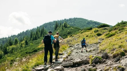 Gdzie wybrać się z dzieckiem w góry? Propozycja szlaków dobrych na wiosenną wycieczkę całą rodziną. 