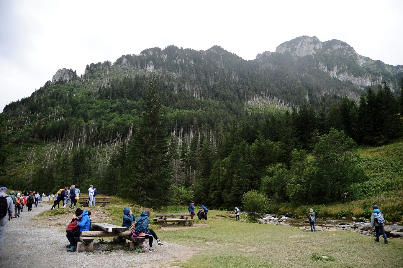 Dolina Kościeliska to dobry wybór na wycieczkę z dzieckiem. Wiosenną porą to znacznie mniej zatłoczona alternatywa dla obleganej Doliny Chochołowskiej. 