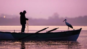 Przyjaźń człowieka z bocianem chwyta za serce. Łowią razem ryby od lat 