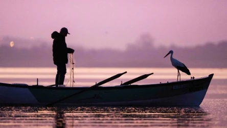 Bocian i człowiek stworzyli zgrany duet
