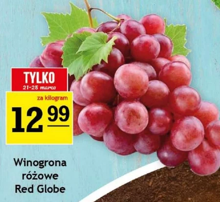 Winogrona Red Globe