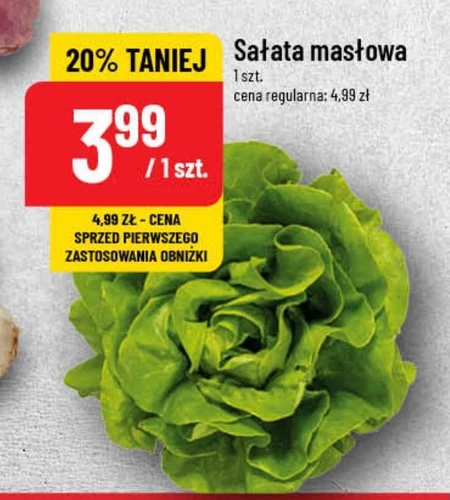 Sałata masłowa