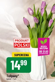 Bukiet tulipanów Tulipany