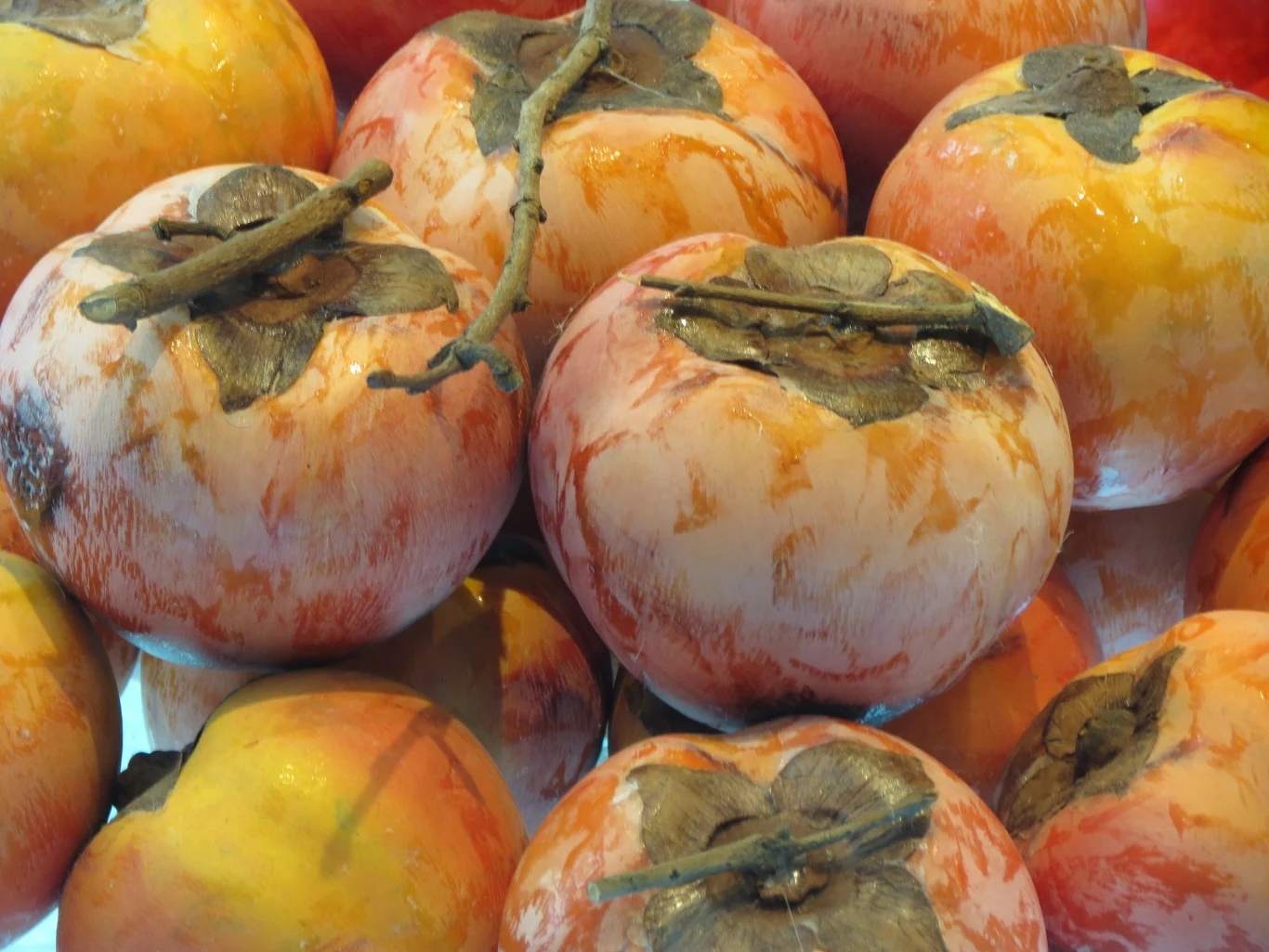 Sprawdź dwa razy, zanim kupisz sadzonkę kaki. Niektóre odmiany są niejadalne