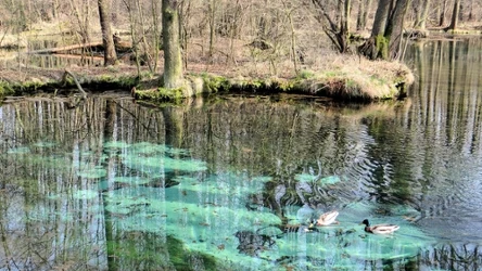 Niebieskie Źródła zachwycają unikatowym wyglądem niezależnie od pory roku