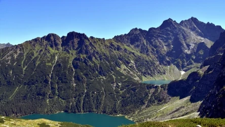 Turysta nagrał w Tatrach rysia i świstaka na jednym filmie