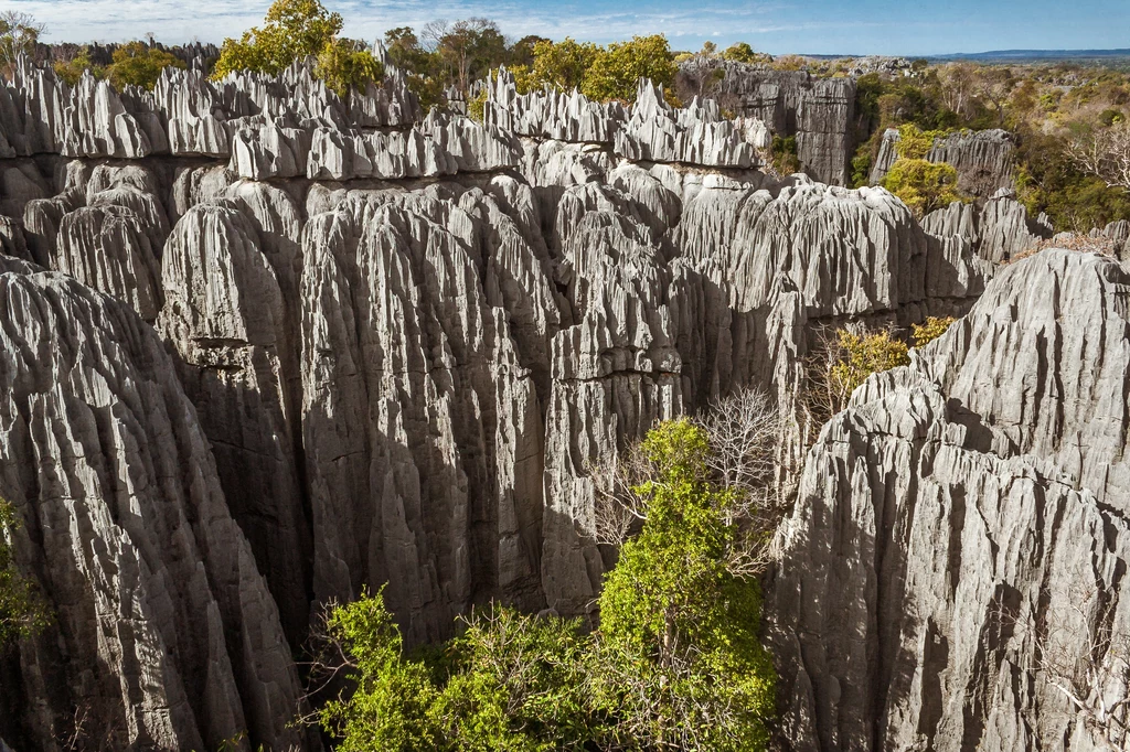 Tsingy de bemaraha to unikalne miejsce na mapie Madagaskaru 