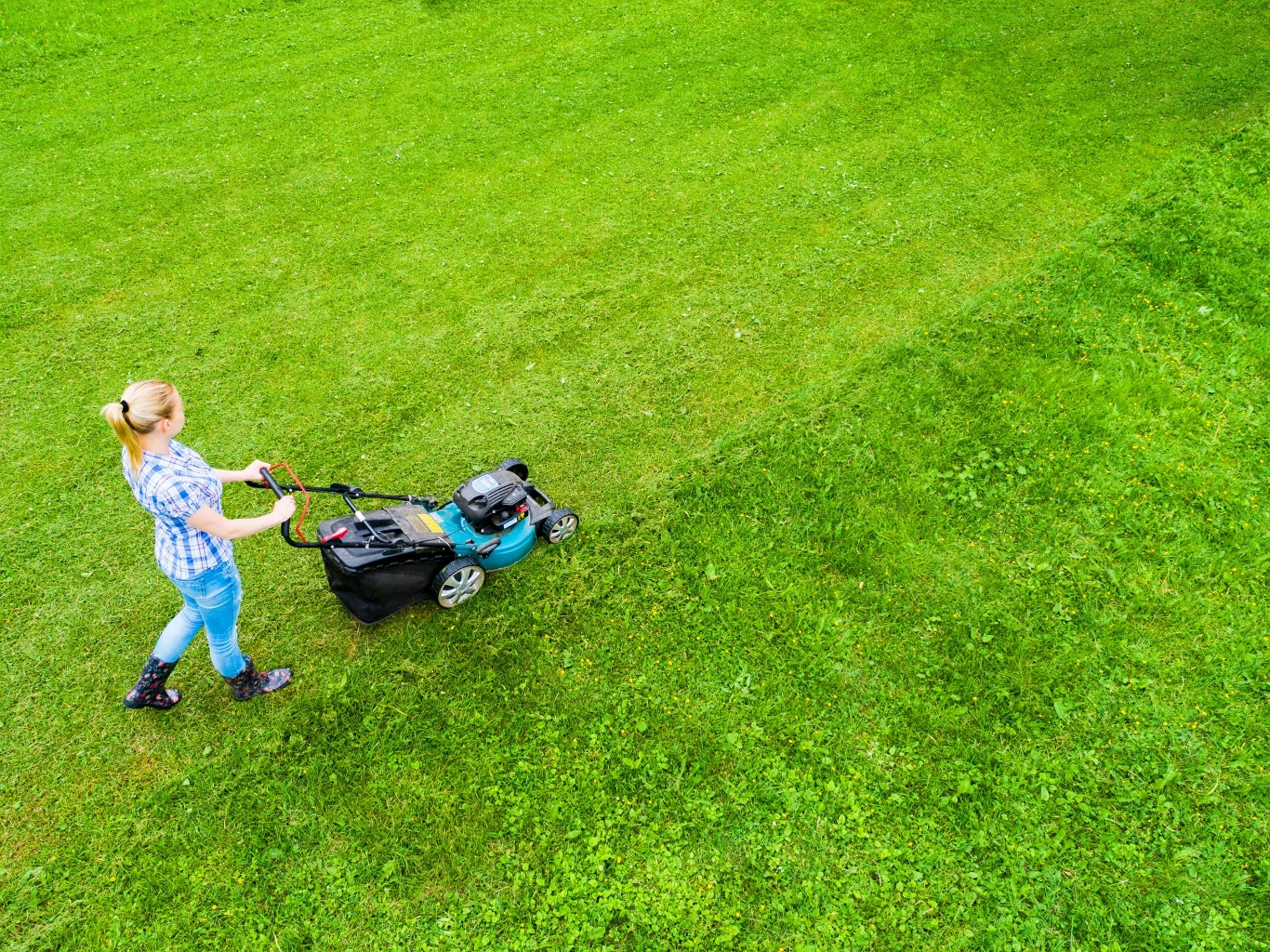 Trawnik po zimie. Co zrobić, aby szybko wrócił do życia? Trawnik po zimie. Co zrobić, aby szybko wrócił do życia?