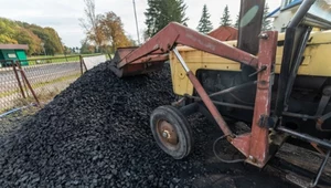 Procentowy udział węgla kamiennego w produkcji energii wzrósł w Polsce w lutym