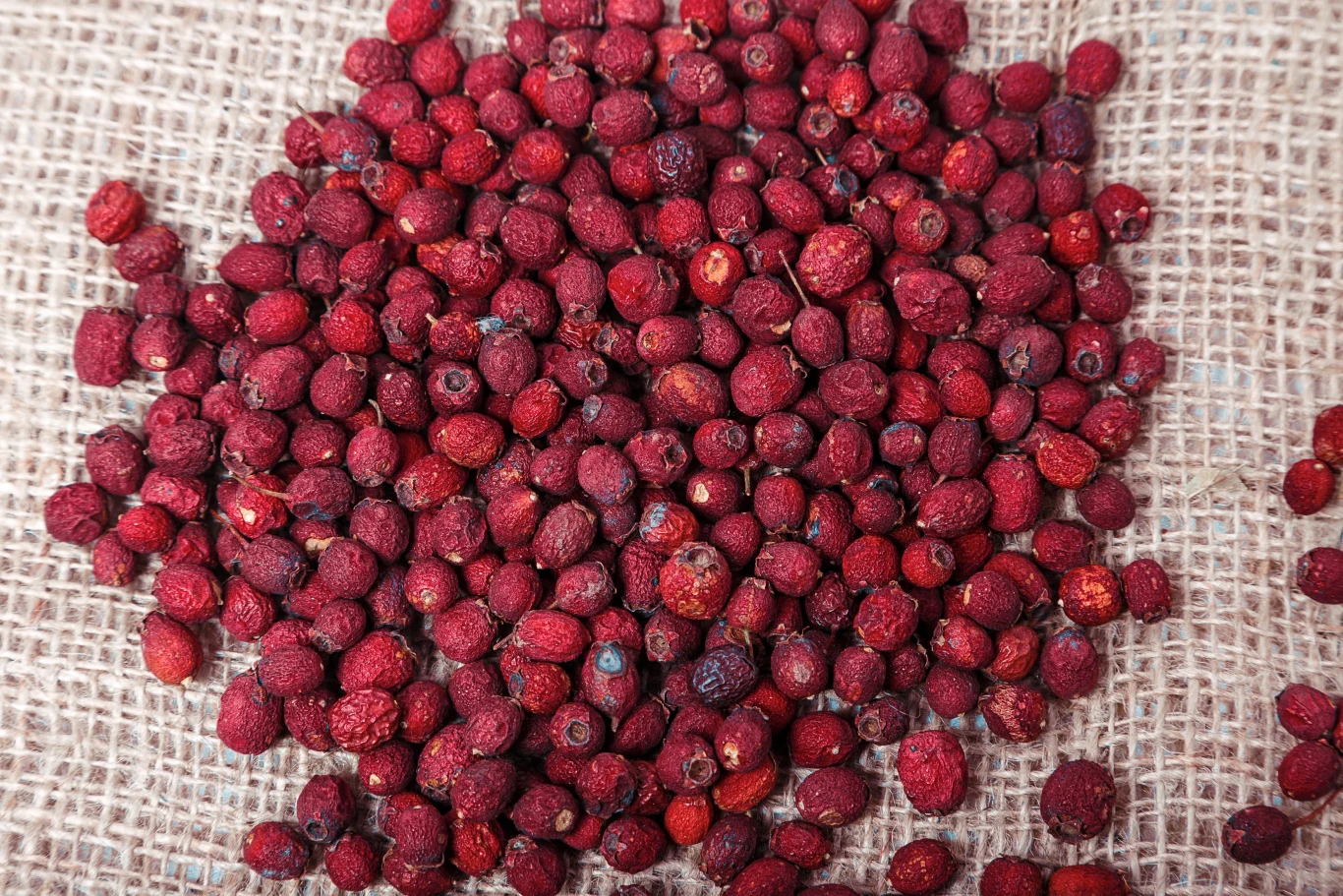 Z suszonych owoców głogu przygotujesz prozdrowotny napar Z suszonych owoców głogu przygotujesz prozdrowotny napar