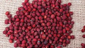 Z suszonych owoców głogu przygotujesz prozdrowotny napar