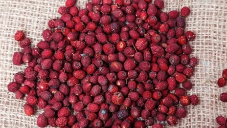 Z suszonych owoców głogu przygotujesz prozdrowotny napar