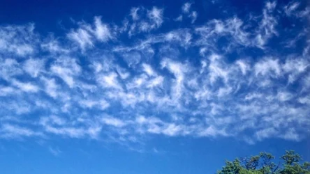 Odmiana chmur lacunosus