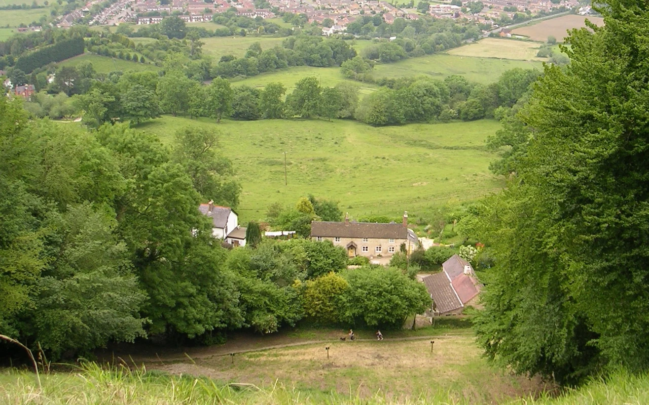 Widok ze szczytu wzgórza z którego toczy się słynny ser