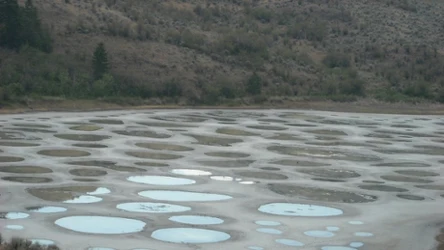 Spotted Lake to nie tylko geologiczna perełka, ale także symbol kulturowego dziedzictwa rdzennych ludów Kanady