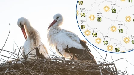 Pierwszy dzień astronomicznej wiosny przynosi piękną, słoneczną pogodę. W całej Polsce możemy się cieszyć spokojną aurą i czystym niebem