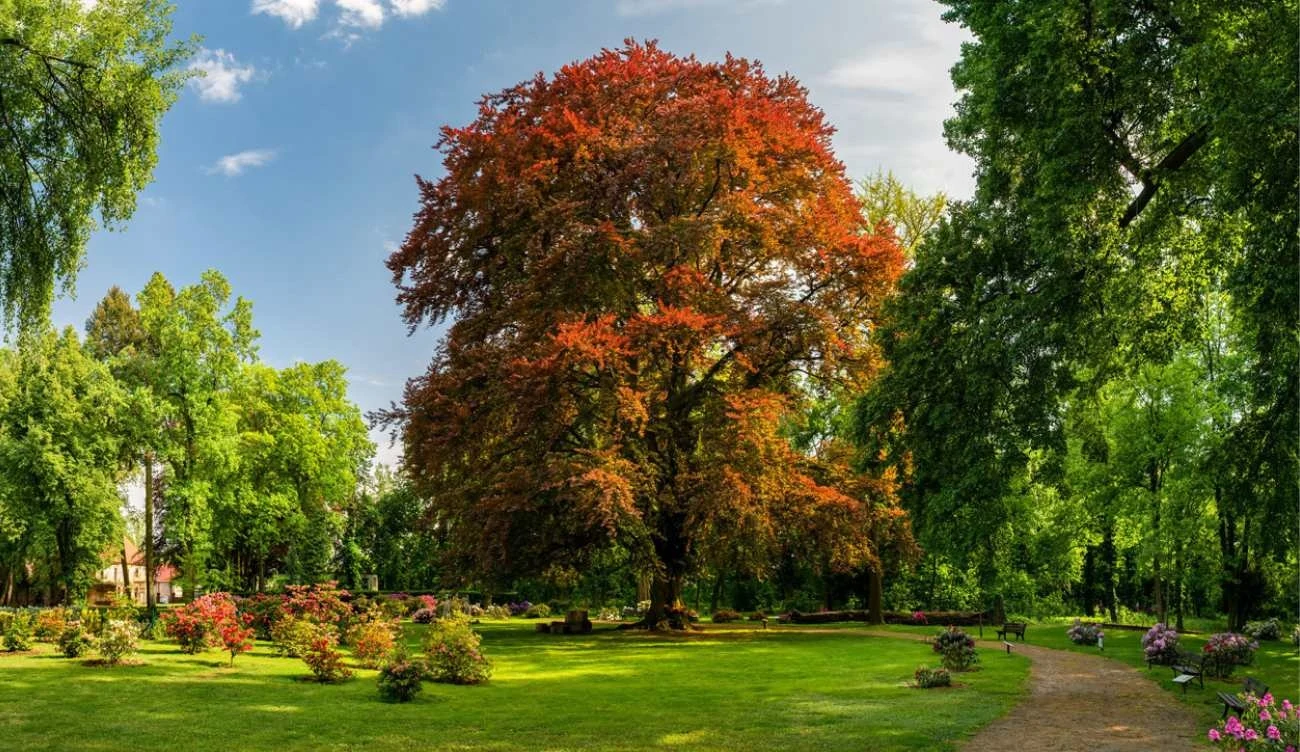 "Serce Wzgórz Dalkowskich" "Serce Wzgórz Dalkowskich"