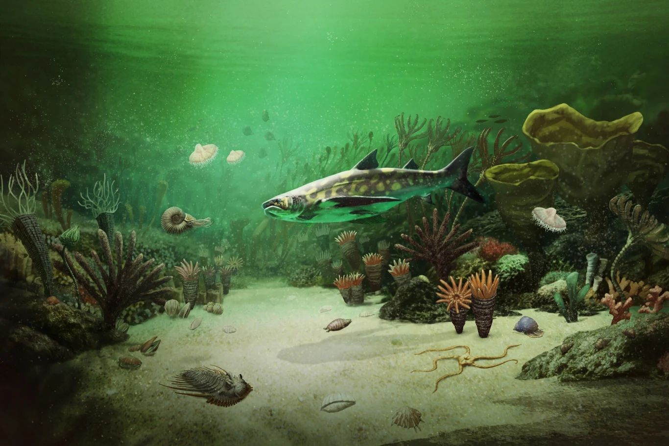 Morze epoki karbonu. Rekiny się wtedy różnicowały