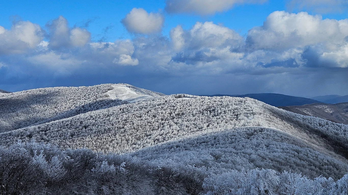 Niewykluczone, że w przyszłości rezerwat zostanie udostępniony turystom / fot. Regionalna Dyrekcja Ochrony Środowiska w Rzeszowie Niewykluczone, że w przyszłości rezerwat zostanie udostępniony turystom / fot. Regionalna Dyrekcja Ochrony Środowiska w Rzeszowie