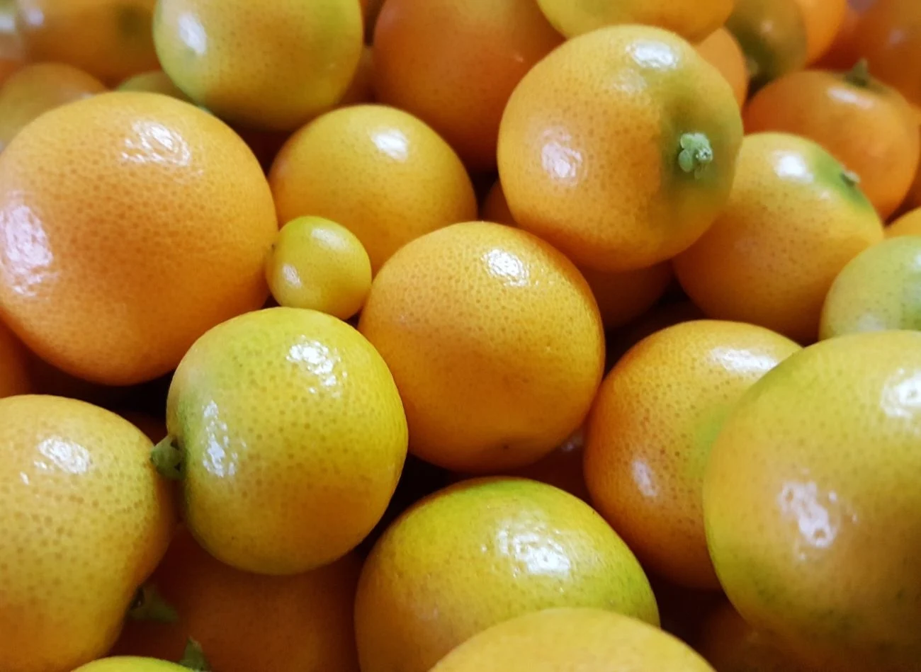 To nie mandaryni. Diabetycy powinni je jeść regularnie. To nie mandaryni. Diabetycy powinni je jeść regularnie.