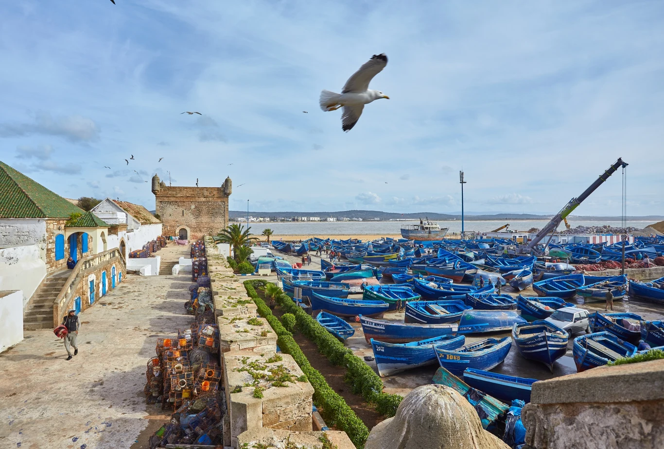 Niebieskie łodzie w miasteczku Essaouira