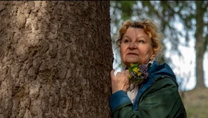 Nie takiego piątku się spodziewałaś. Wróżka Aira ostrzega trzy znaki zodiaku 