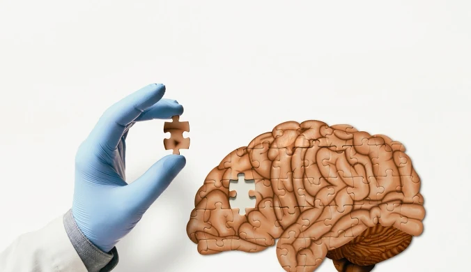 Przełomowa terapia likwiduje objawy Alzheimera u myszy dzięki nanotechnologii