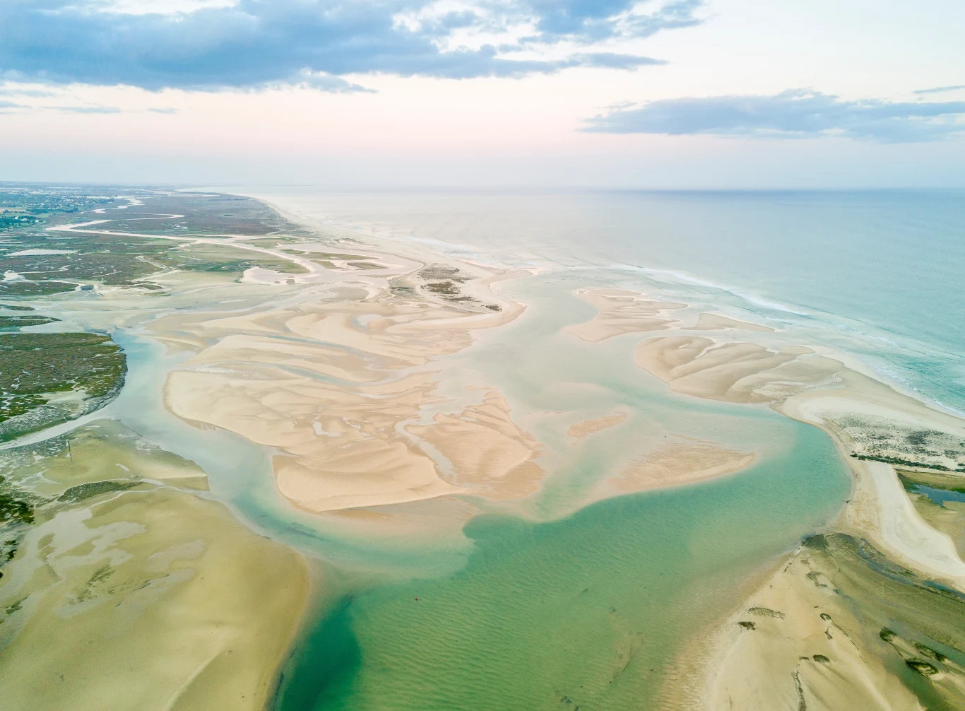 Park Ria Formosa słynie z tego, że jest siedliskiem wielu różnych gatunków ptaków. 