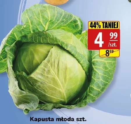 Kapusta młoda