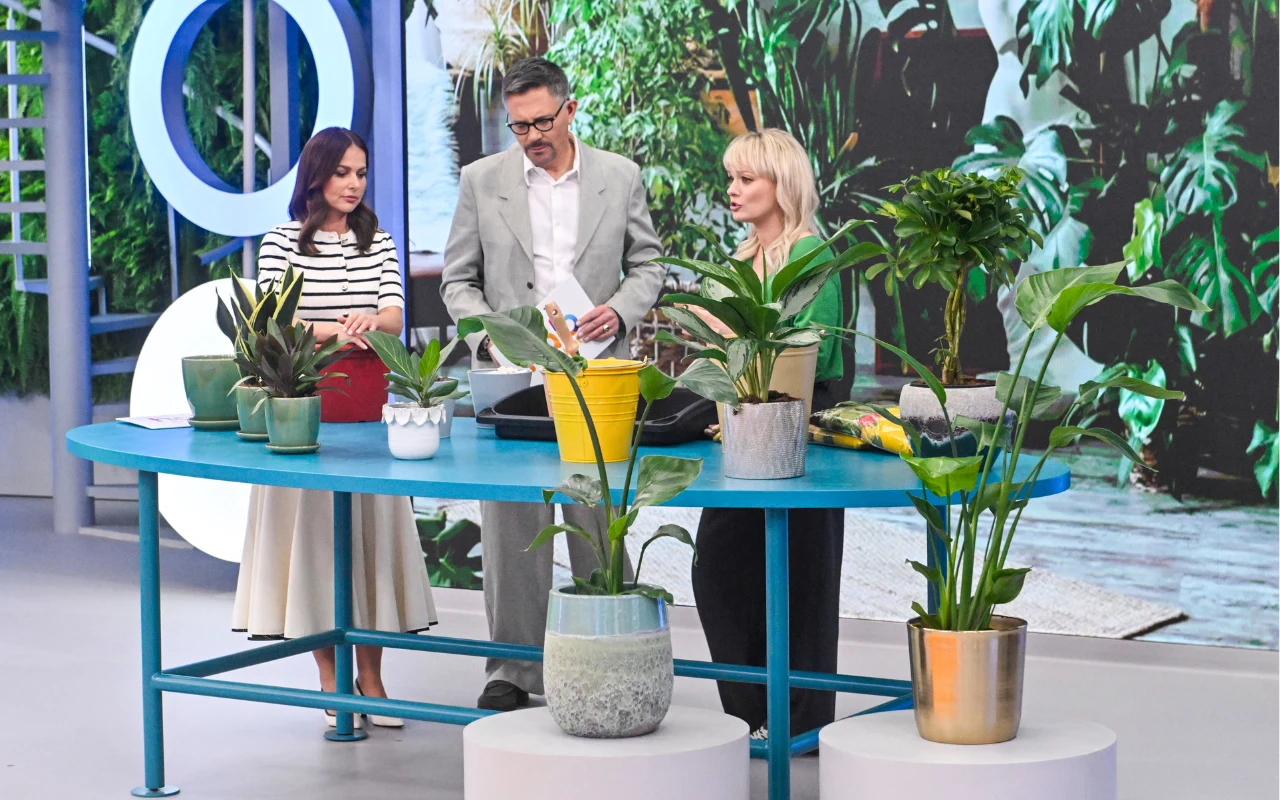 Ogrodnicze porady Kasi Jody