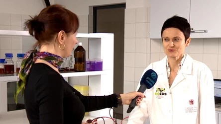 Owady, które jedzą plastik. Odkrycie badaczek z Polski