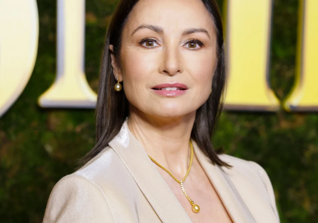 Joanna Brodzik na premierze filmu "Śnieżka"