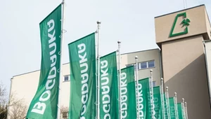 Chaos wokół Bogdanki. "Pani minister wprowadzała nas w błąd trzykrotnie"