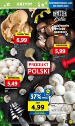 Весна зі знижками - Lidl