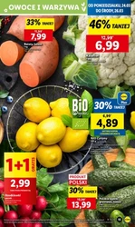 Wiosna z rabatami – Lidl