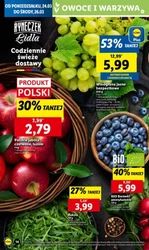 Wiosna z rabatami – Lidl