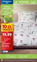 Wiosna z rabatami – Lidl