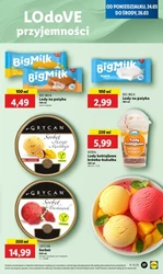 Wiosna z rabatami – Lidl