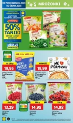 Wiosna z rabatami – Lidl