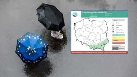 Poniedziałek będzie deszczowy w zdecydowanej większości kraju. IMGW ostrzega też przed burzami na południu i południowym wschodzie