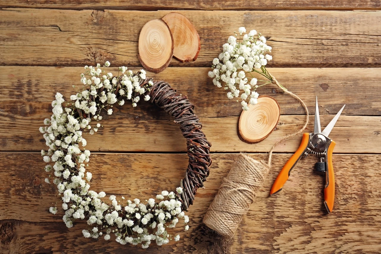 Wianuszek z gipsówką