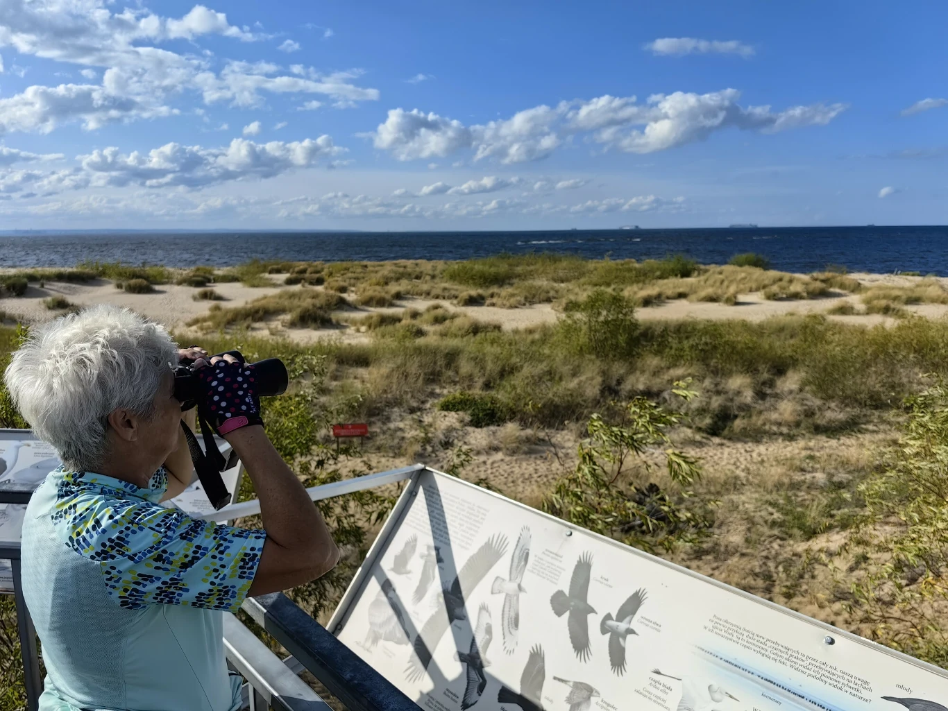 Rezerwat przyrody Mewia Lacha