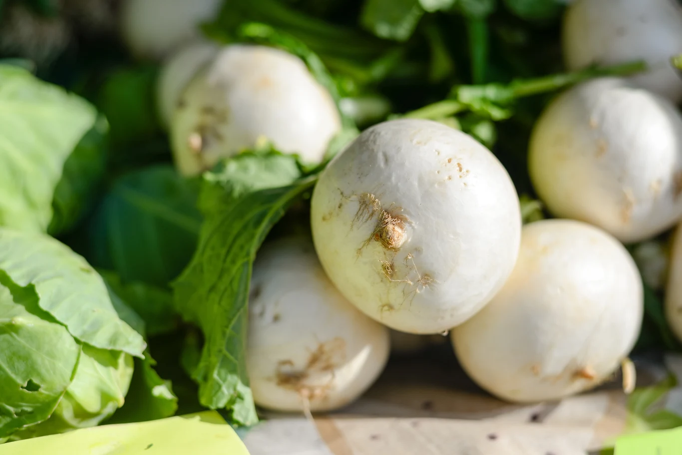 Biała rzepa jest niskokaloryczna i bogata w cenne składniki odżywcze.