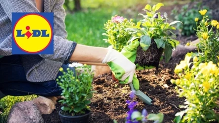 Wiosenne porządki w ogrodzie? W Lidlu sprzęt Parkside taniej – nie przegap tej okazji!