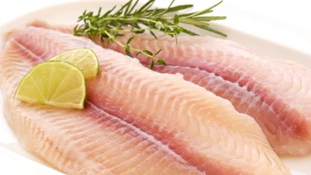 Tilapia może być szkodliwa.