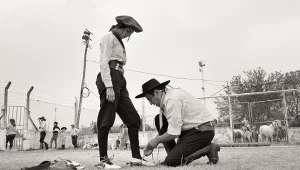 Kadr z filmu "Gaucho Gaucho"