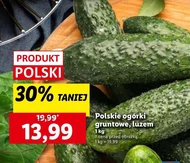 Огірки Polski