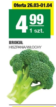 Brokuł