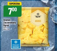 Ananas Zaczarowany Ogród